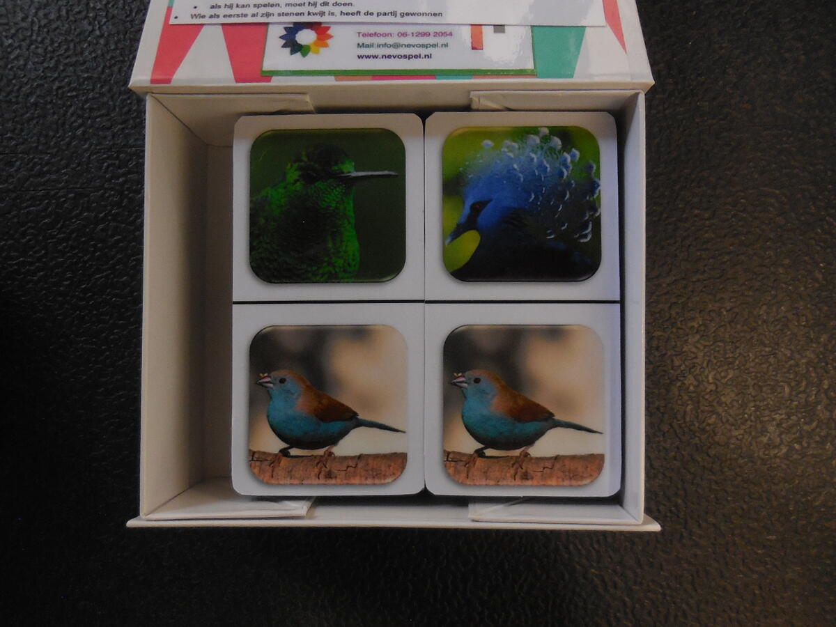 Fotodomino vogels 