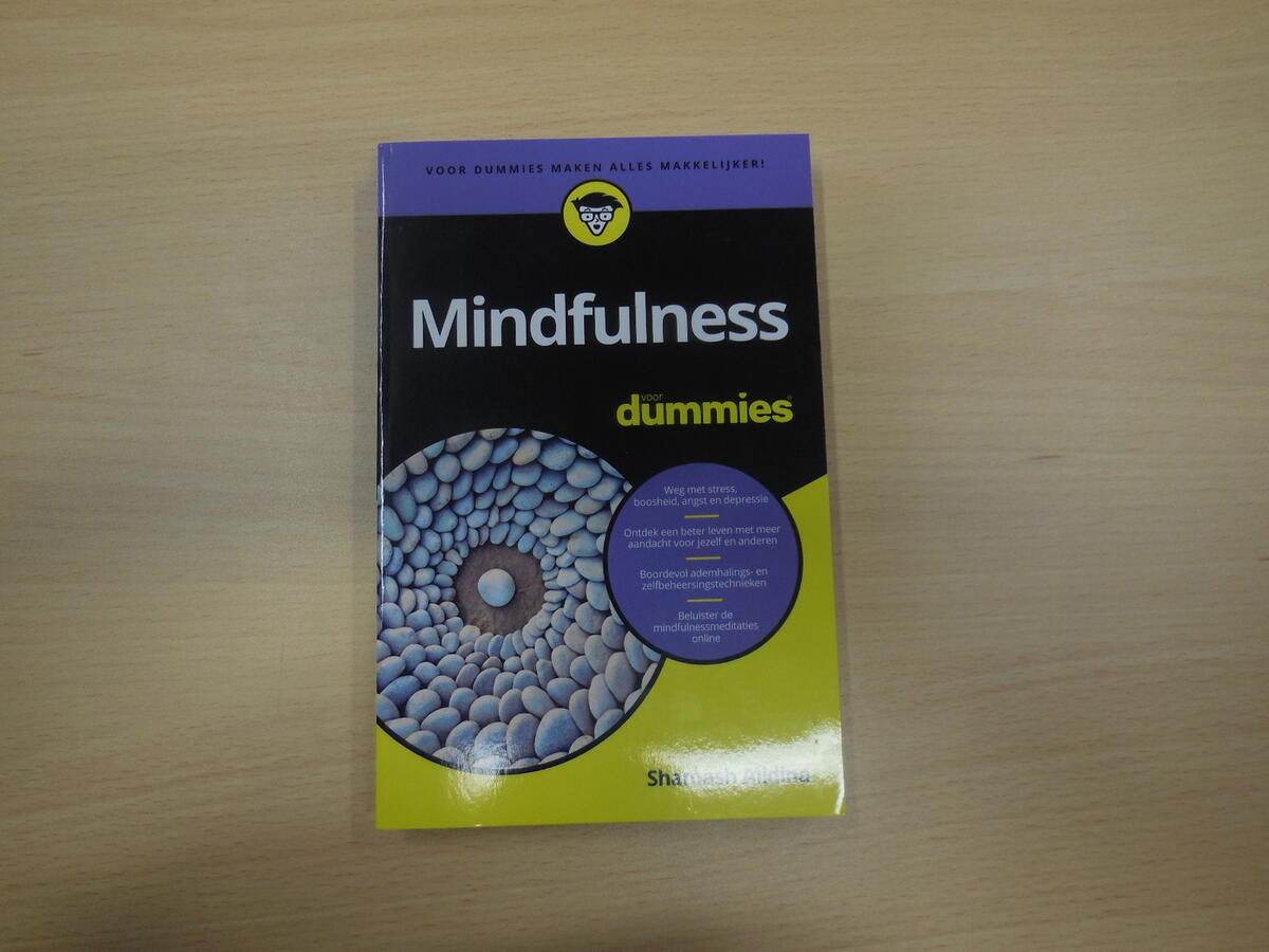Mindfulness voor dummies 
