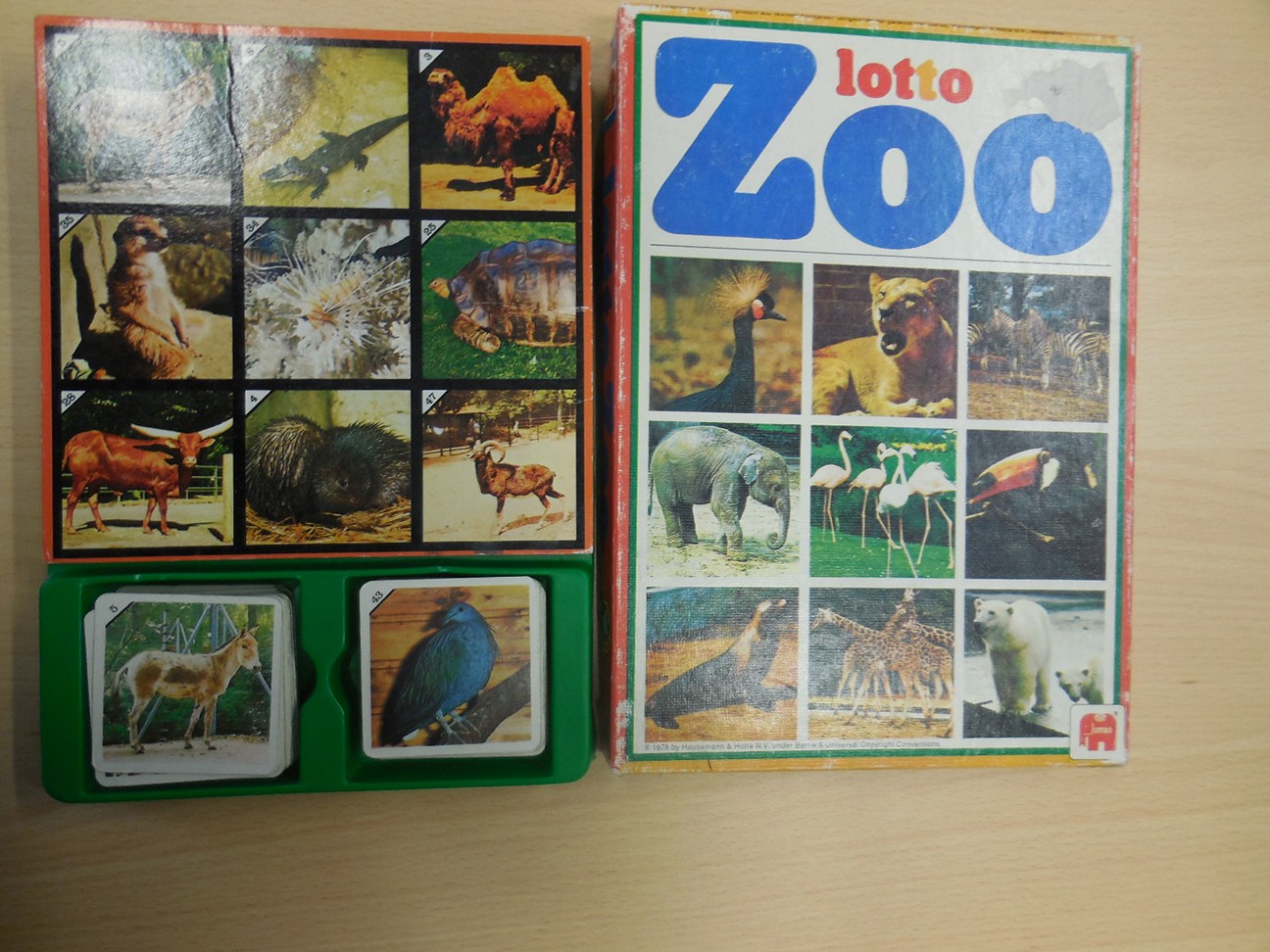 Lotto zoo 