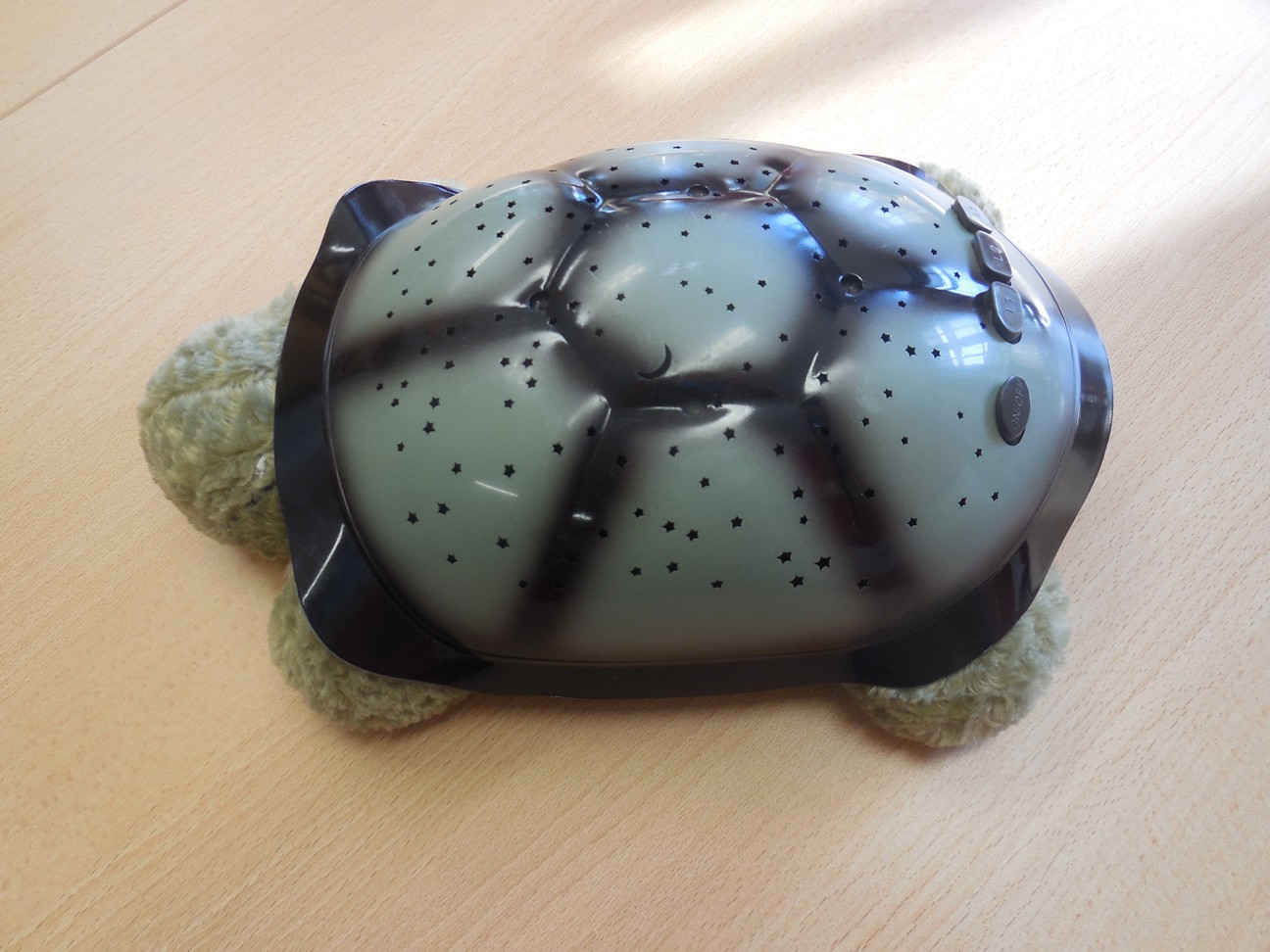 Shemerlicht schildpad