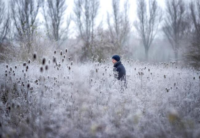 Winterwandelingen in Oudenaarde