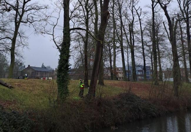 Bomen Liedtspark werken