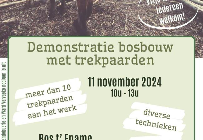 Demonstratie bosbouw met trekpaarden © Bavo Weytens